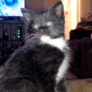 Meet your Posher, Joslyn